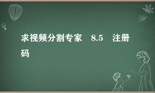 求视频分割专家 8.5 注册码