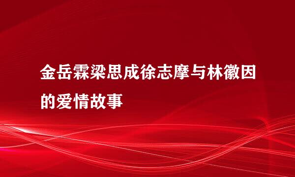 金岳霖梁思成徐志摩与林徽因的爱情故事