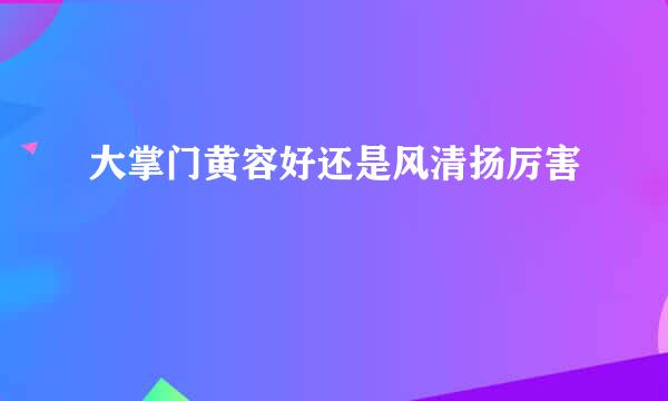 大掌门黄容好还是风清扬厉害