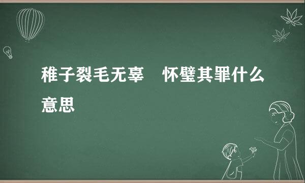 稚子裂毛无辜 怀璧其罪什么意思