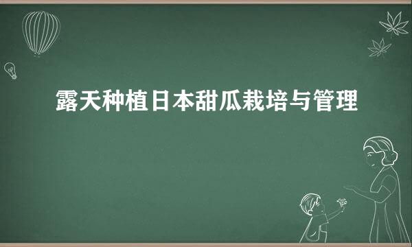 露天种植日本甜瓜栽培与管理