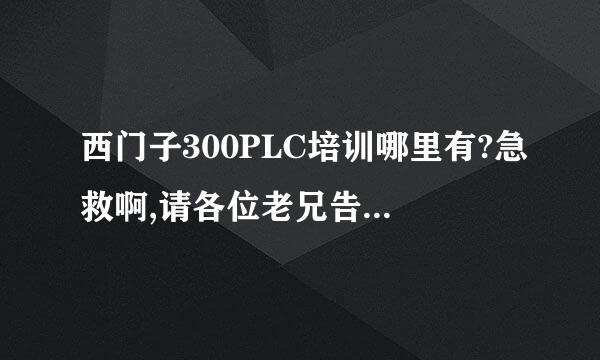 西门子300PLC培训哪里有?急救啊,请各位老兄告知下,谢谢