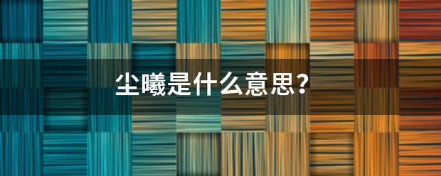 尘曦是什么意思？