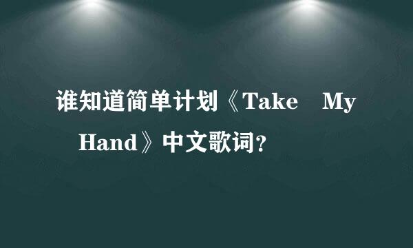 谁知道简单计划《Take My Hand》中文歌词？