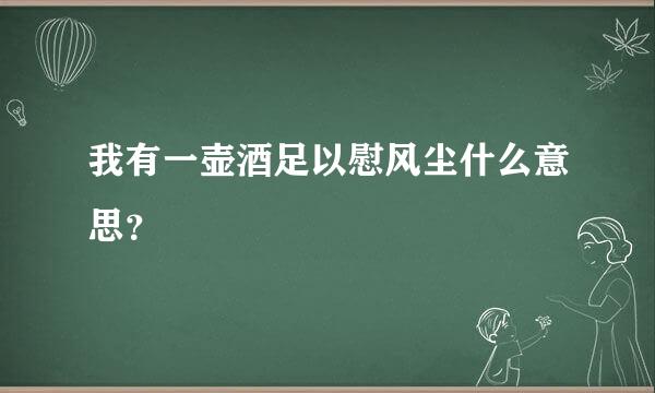 我有一壶酒足以慰风尘什么意思？