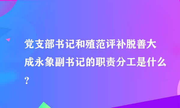 党支部书记和殖范评补脱善大成永象副书记的职责分工是什么？