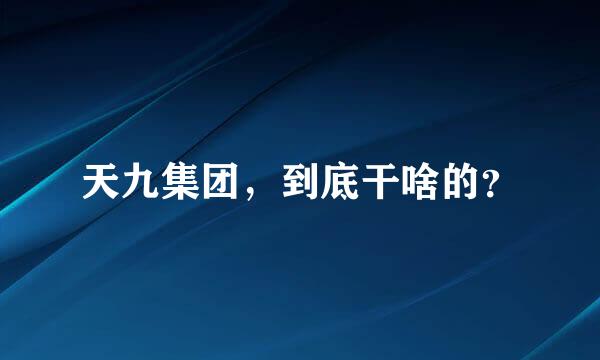 天九集团，到底干啥的？