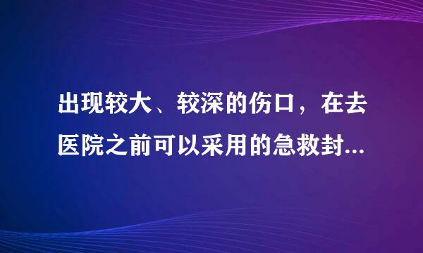 出现较大、较深的伤口，在去医院之前可以采用的急救封学吗配诗保扬皇自委用止血方法是（    ）。