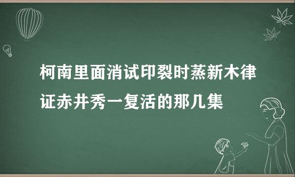 柯南里面消试印裂时蒸新木律证赤井秀一复活的那几集