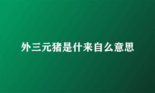 外三元猪是什来自么意思