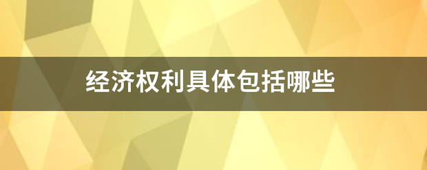 经济权利具体包括哪些