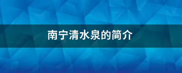 南宁清水站速盟早泉的简介