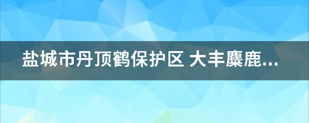 盐城市丹顶鹤保护区 大丰麋鹿自然保护区