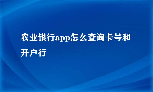 农业银行app怎么查询卡号和开户行