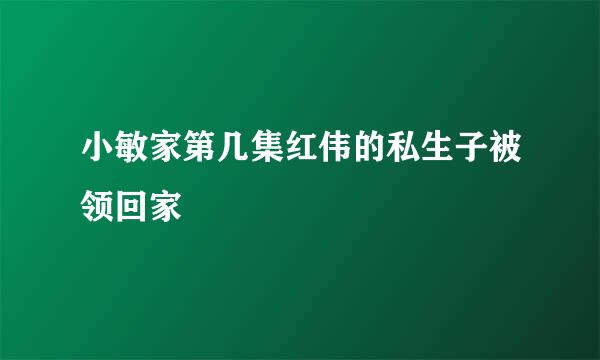 小敏家第几集红伟的私生子被领回家