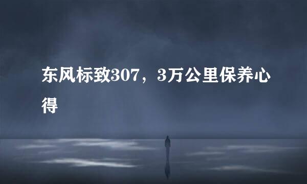 东风标致307，3万公里保养心得