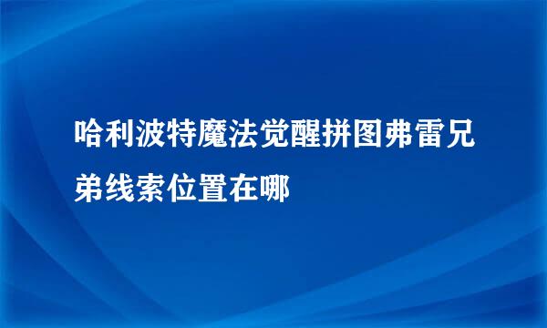 哈利波特魔法觉醒拼图弗雷兄弟线索位置在哪