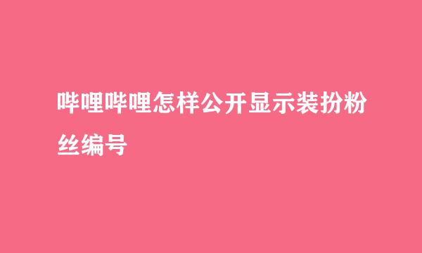 哔哩哔哩怎样公开显示装扮粉丝编号