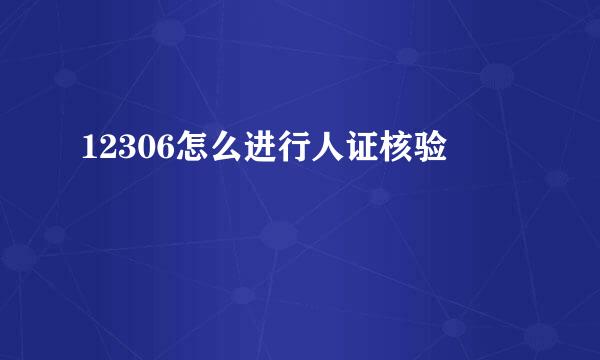 12306怎么进行人证核验