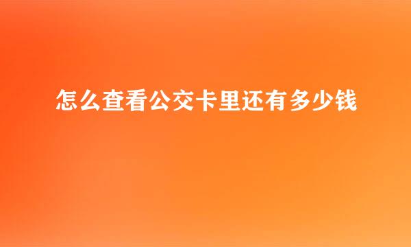 怎么查看公交卡里还有多少钱