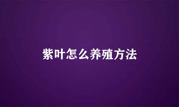 紫叶怎么养殖方法