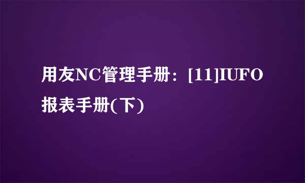 用友NC管理手册：[11]IUFO报表手册(下)