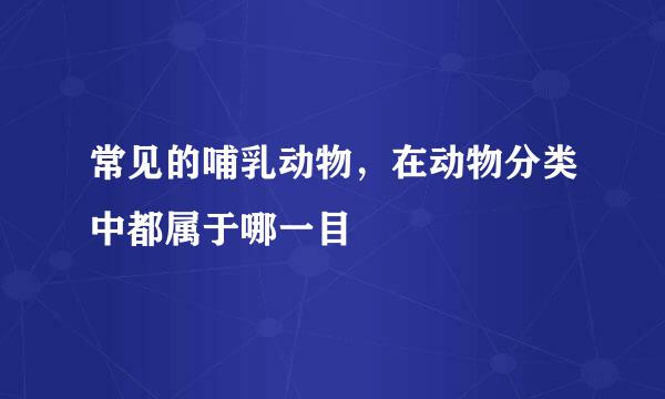 常见的哺乳动物，在动物分类中都属于哪一目