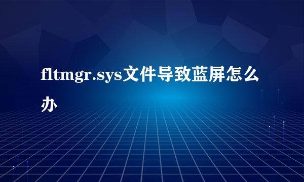 fltmgr.sys文件导致蓝屏怎么办