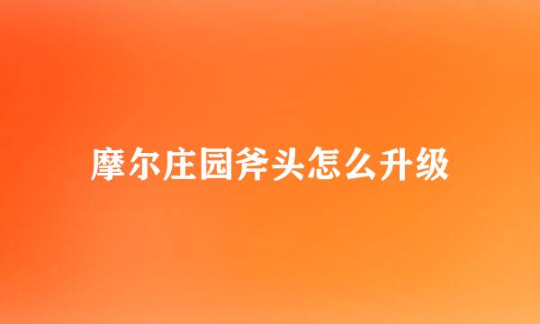 摩尔庄园斧头怎么升级