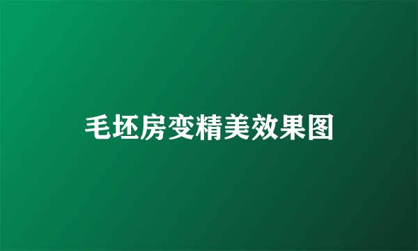 毛坯房变精美效果图