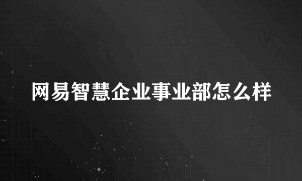 网易智慧企业事业部怎么样