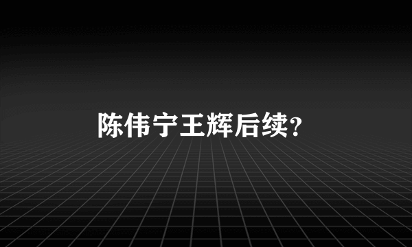 陈伟宁王辉后续？