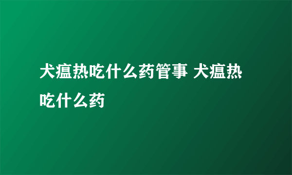 犬瘟热吃什么药管事 犬瘟热吃什么药