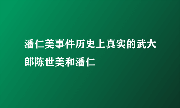 潘仁美事件历史上真实的武大郎陈世美和潘仁