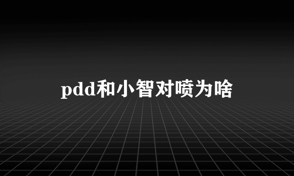 pdd和小智对喷为啥