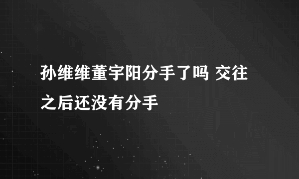 孙维维董宇阳分手了吗 交往之后还没有分手