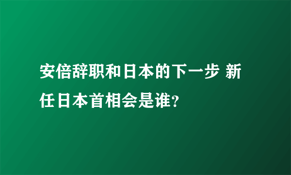 安倍辞职和日本的下一步 新任日本首相会是谁？