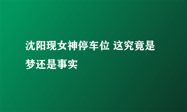 沈阳现女神停车位 这究竟是梦还是事实