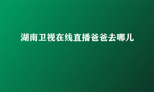 湖南卫视在线直播爸爸去哪儿