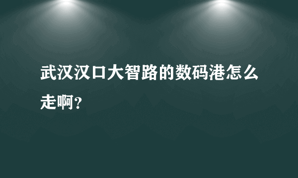 武汉汉口大智路的数码港怎么走啊？