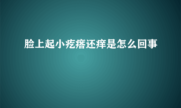 脸上起小疙瘩还痒是怎么回事