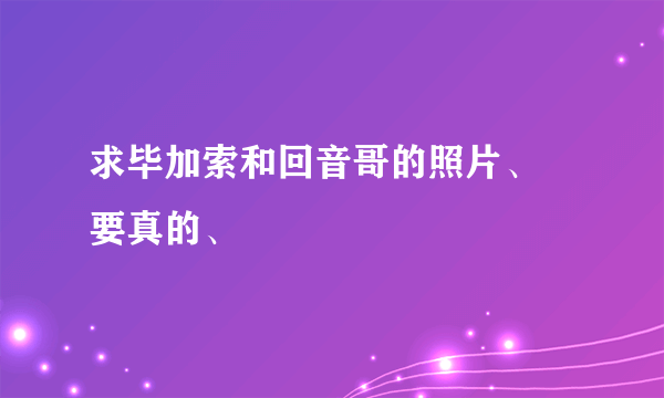 求毕加索和回音哥的照片、 要真的、