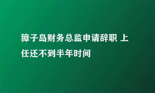 獐子岛财务总监申请辞职 上任还不到半年时间