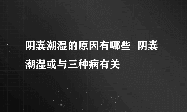 阴囊潮湿的原因有哪些  阴囊潮湿或与三种病有关