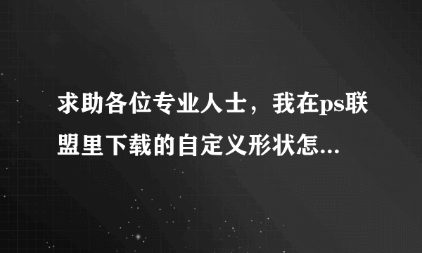 求助各位专业人士，我在ps联盟里下载的自定义形状怎样安装在ps11里面