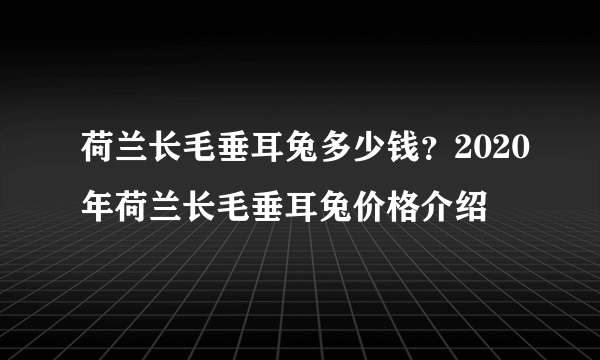 荷兰长毛垂耳兔多少钱？2020年荷兰长毛垂耳兔价格介绍