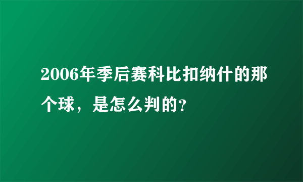 2006年季后赛科比扣纳什的那个球，是怎么判的？