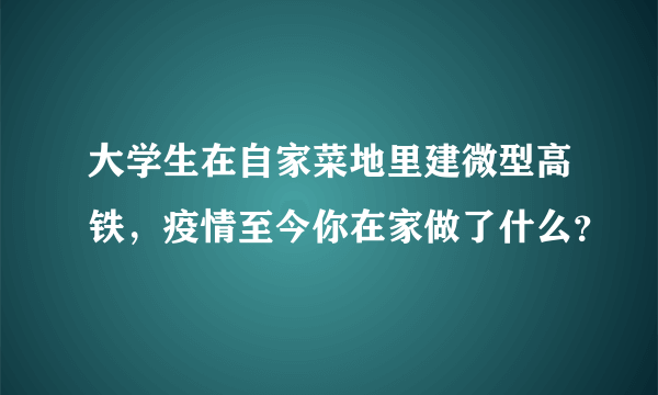 大学生在自家菜地里建微型高铁，疫情至今你在家做了什么？