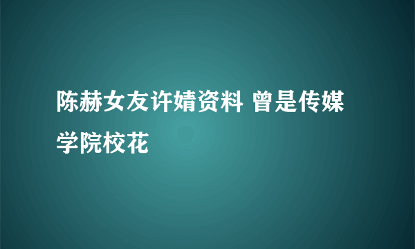 陈赫女友许婧资料 曾是传媒学院校花