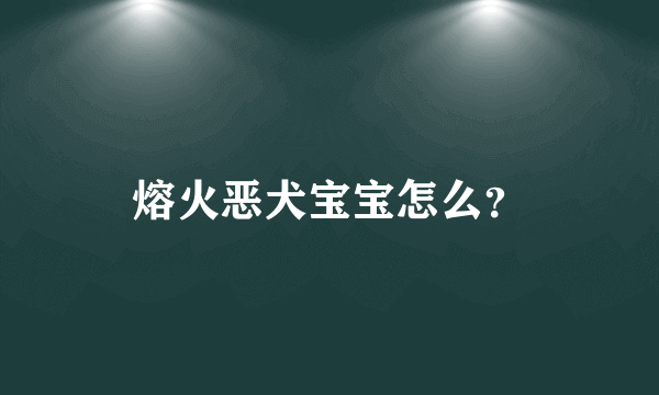 熔火恶犬宝宝怎么？